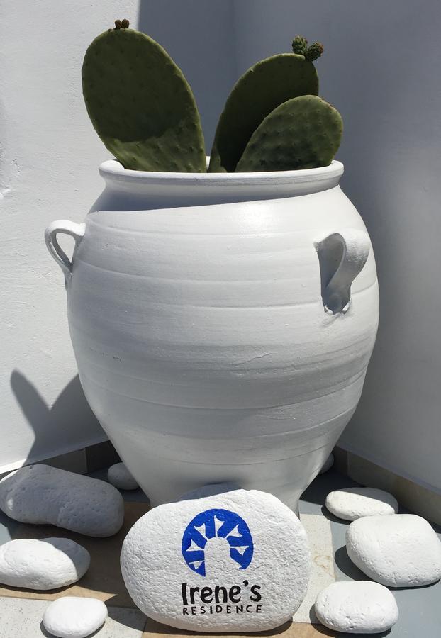 Irene'S Residence Mykonos Town Zewnętrze zdjęcie